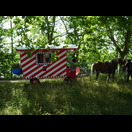 Man kann auch anders unterwegs sein als mit dem Fahrrad